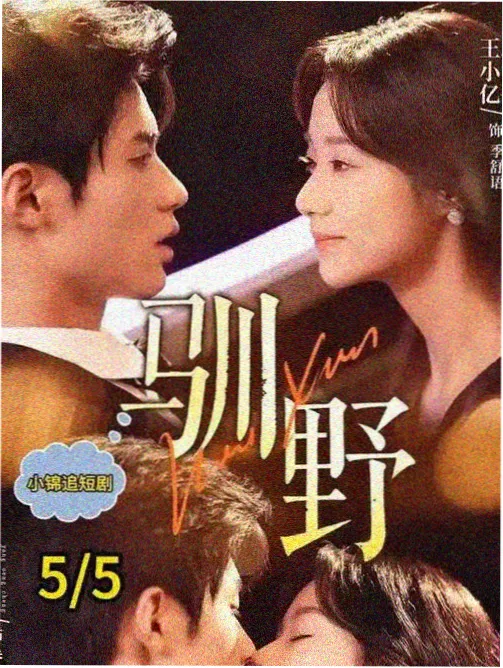 藏海传